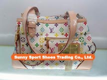 lv,gucci,coach,miumiu,dg,fendi  bags